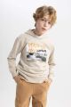 Erkek Çocuk Baskılı Kapüşonlu Sweatshirt