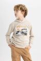 Erkek Çocuk Baskılı Kapüşonlu Sweatshirt