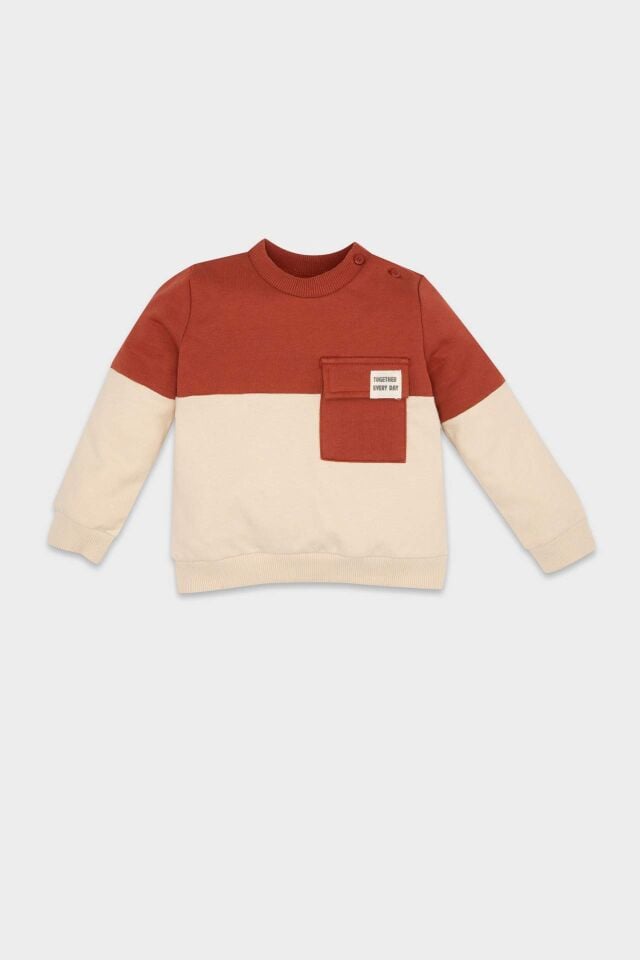Erkek Bebek  Bisiklet Yaka Renk Bloklu İçi Yumuşak Tüylü Sweatshirt