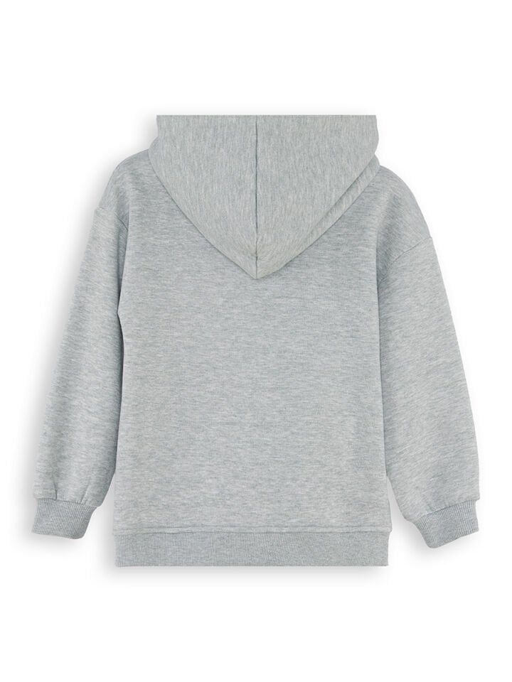 Dinozor Erkek Çocuk Fermuarlı Kapüşonlu Gri Sweatshirt