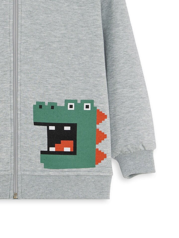 Dinozor Erkek Çocuk Fermuarlı Kapüşonlu Gri Sweatshirt