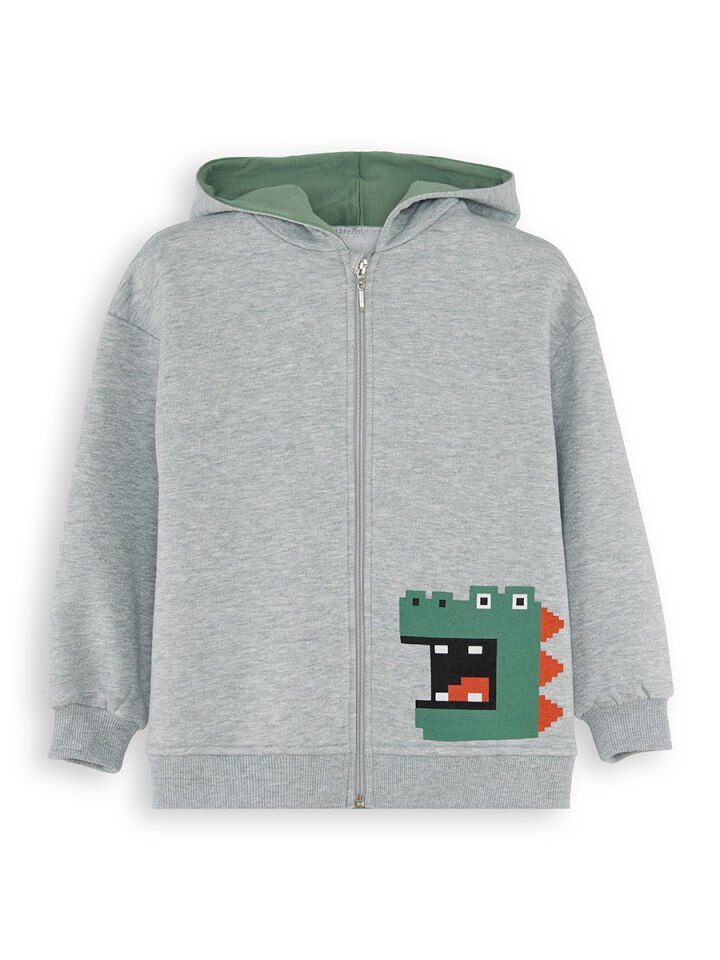 Dinozor Erkek Çocuk Fermuarlı Kapüşonlu Gri Sweatshirt 4 Y - Gri